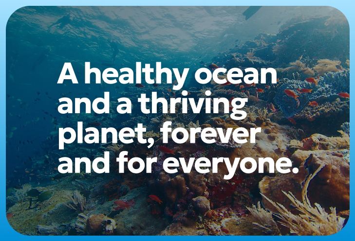 Ocean Conservancy - Bold Branding for Ocean Conservation